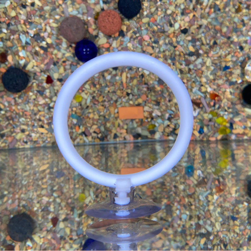 Gymnastics Rings - 1 stks Plastic Aquarium Aquarium Kunstmatige
