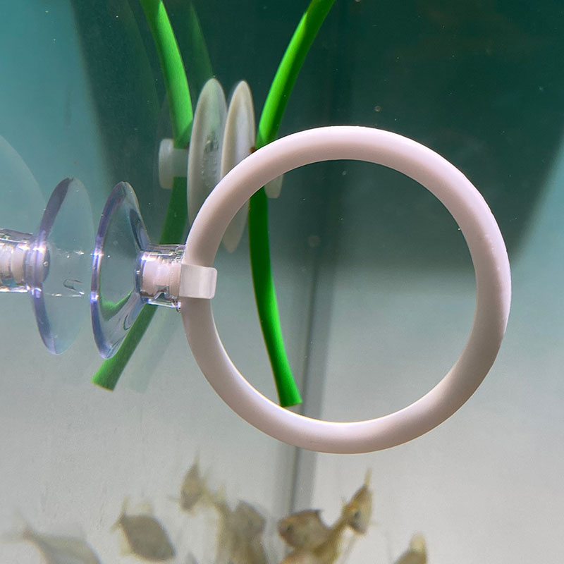 1 stks Plastic Aquarium Aquari - Gymnastics Rings recensie en prijs